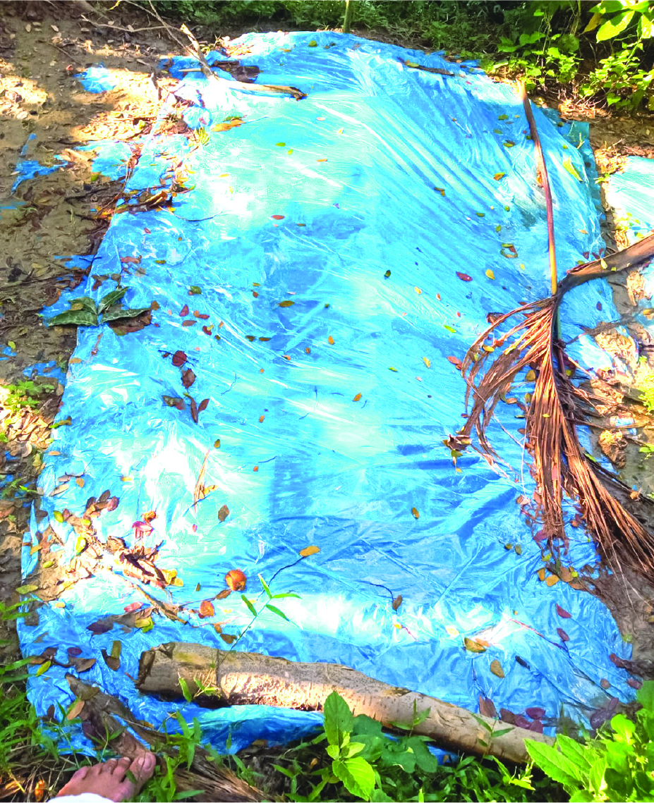 Image of মো: আবুল হোসেন মিজি